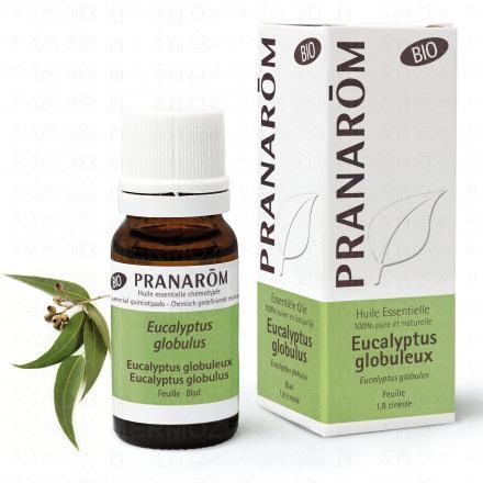 Huile essentielle Eucalyptus Globulus bio flacon 10ml