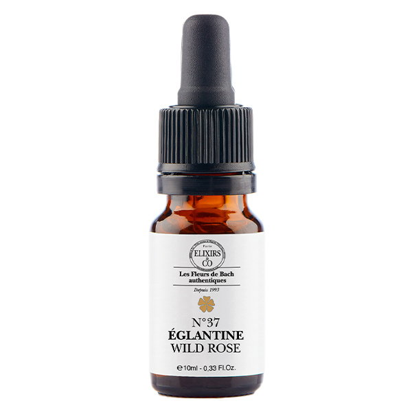 ELXIRS&CO - Unitaire EGLANTIER - 10ML