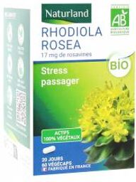 Rhodiola Rosea Bio 60 Gélules - Pot 60 végécaps