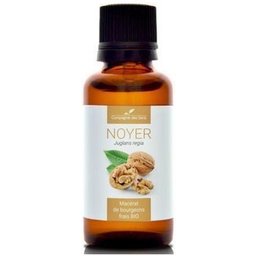 Noyer Macérat De Bourgeons Bio 30ml