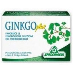 Ginkgo Plus 30Cps