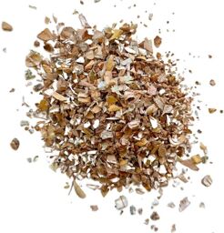 Tisane Bouleau écorce Betula alba.