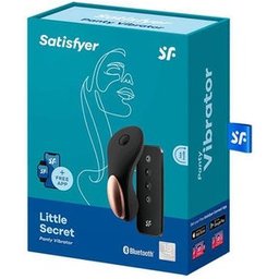 Little Secret Panty Vibrator 1pc