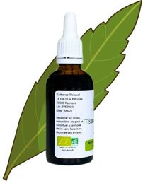 Tisane instantanée de Verveine - Aloysia citrodora - Flacon de 50ml