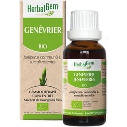 Macérat Concentré de Genévrier Bio 30ml