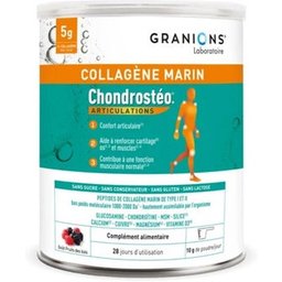 Collagène Marin Chondrostéo+ 280g