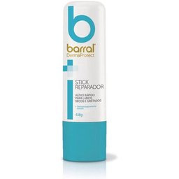 DermaProtect Stick Reparador Labial 4,8g