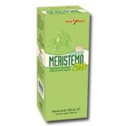 Meristemo Ynkhas 29 100Ml