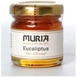 Miel d'Eucalyptus 50g